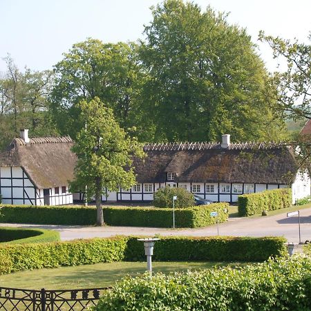 Baekgaarden B&B Lyndelse 外观 照片