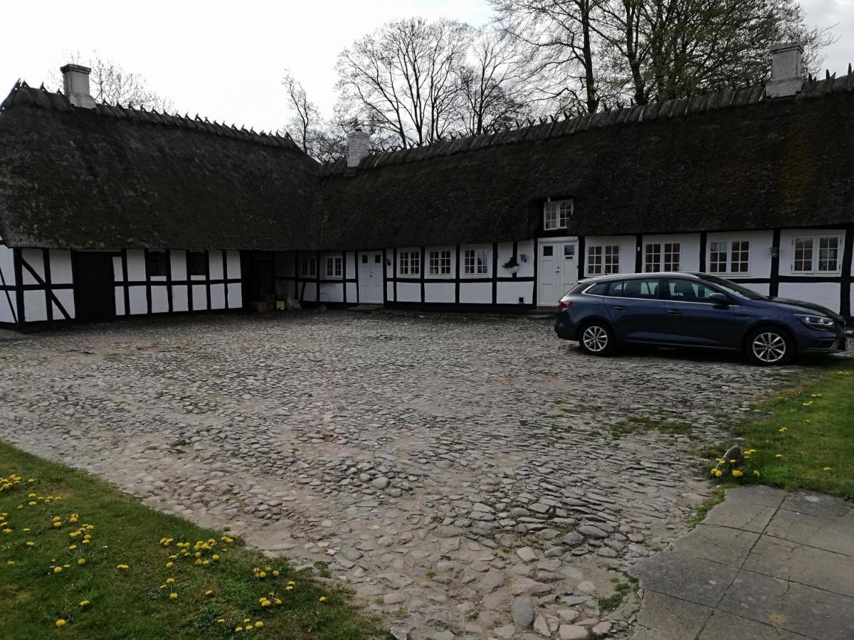 Baekgaarden B&B Lyndelse 外观 照片