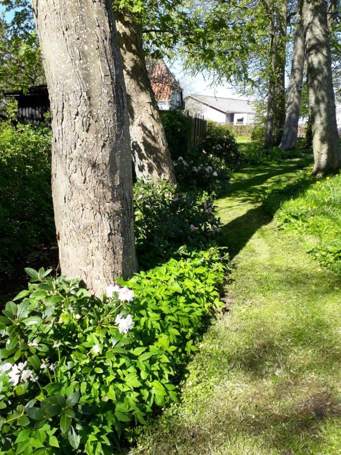 Baekgaarden B&B Lyndelse 外观 照片